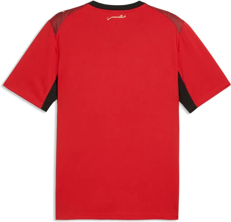 Heimtrikot ÄGYPTEN 26