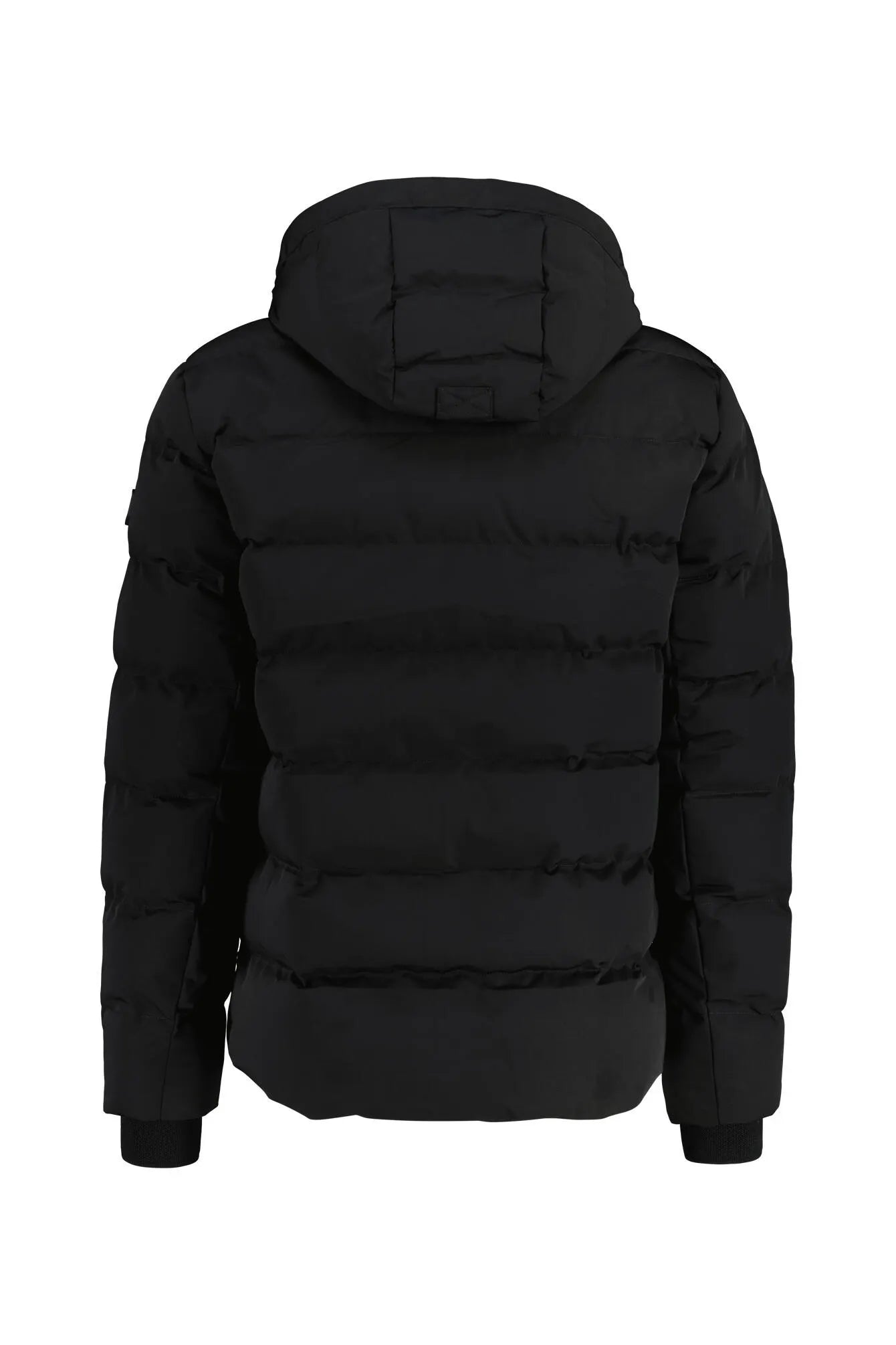 Winterjacke BLACKBIRD SHORT