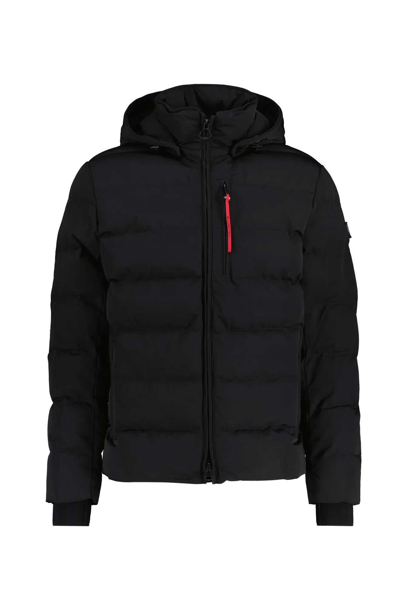 Winterjacke BLACKBIRD SHORT