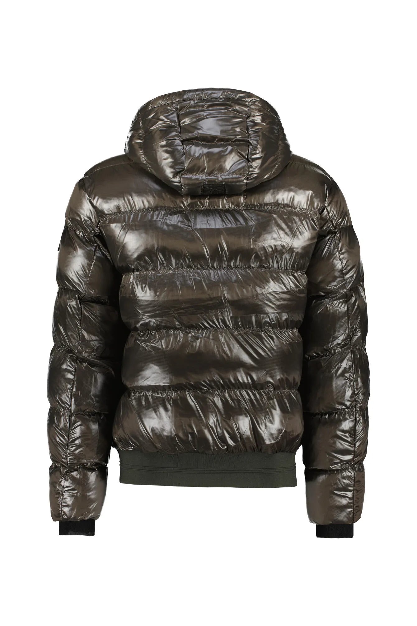 Blouson BLACKBIRD