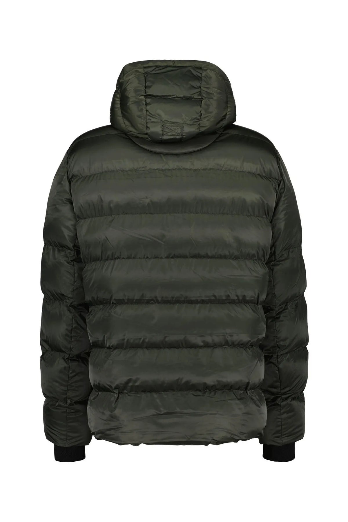 Winterjacke BLACKBIRD SHORT