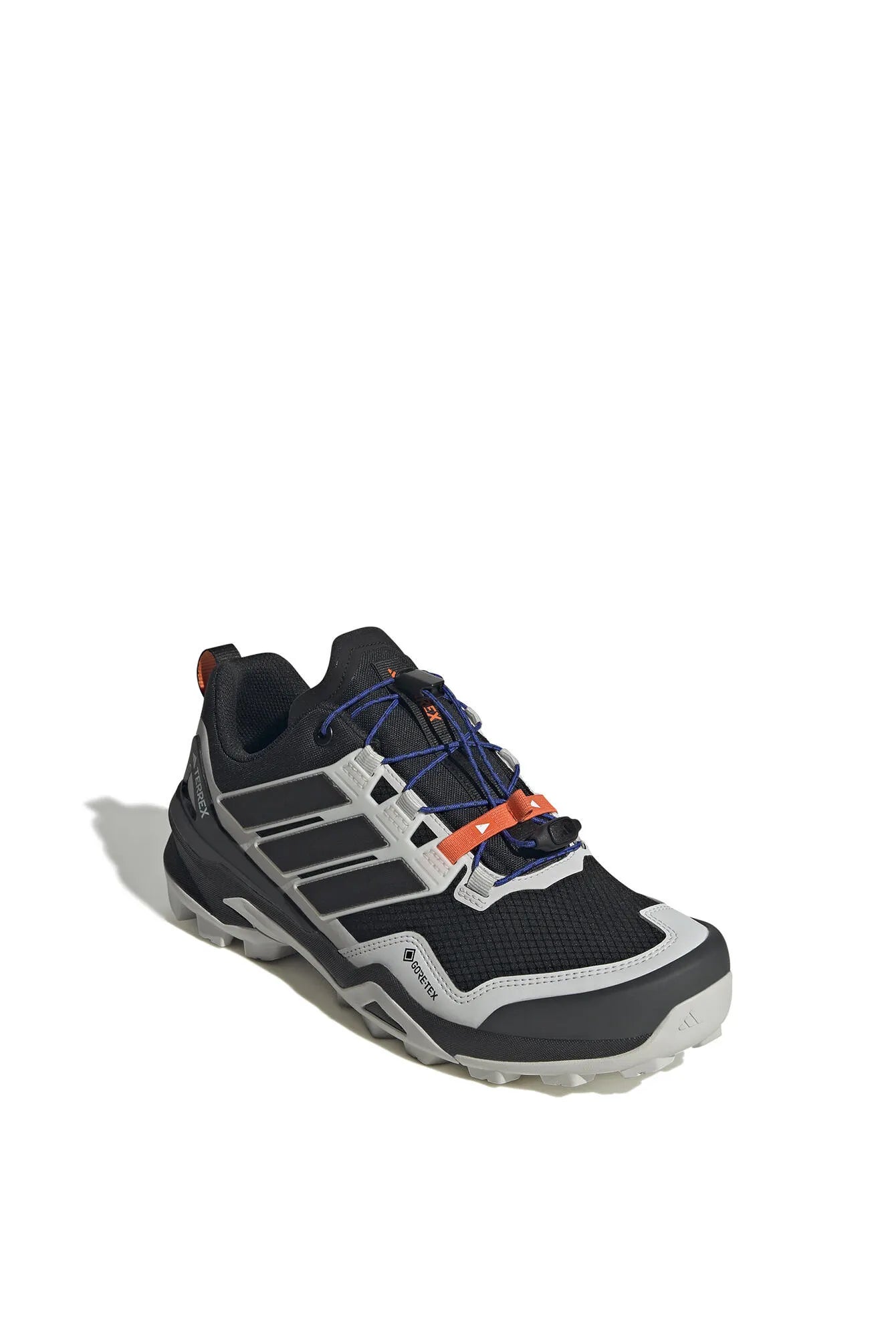 Wanderschuhe TERREX SKYCHASER GTX