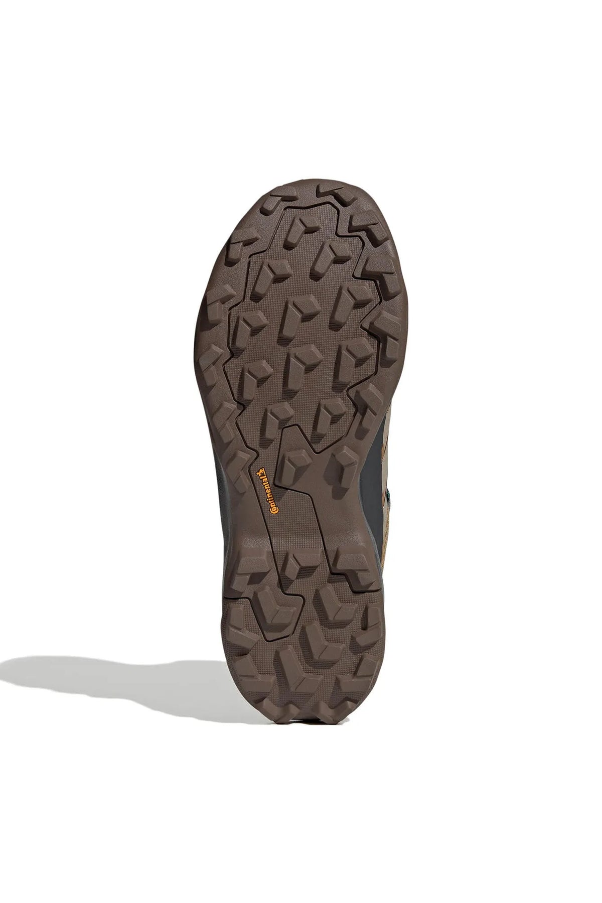 Wanderschuhe TERREX SKYCHASER AX5 MID