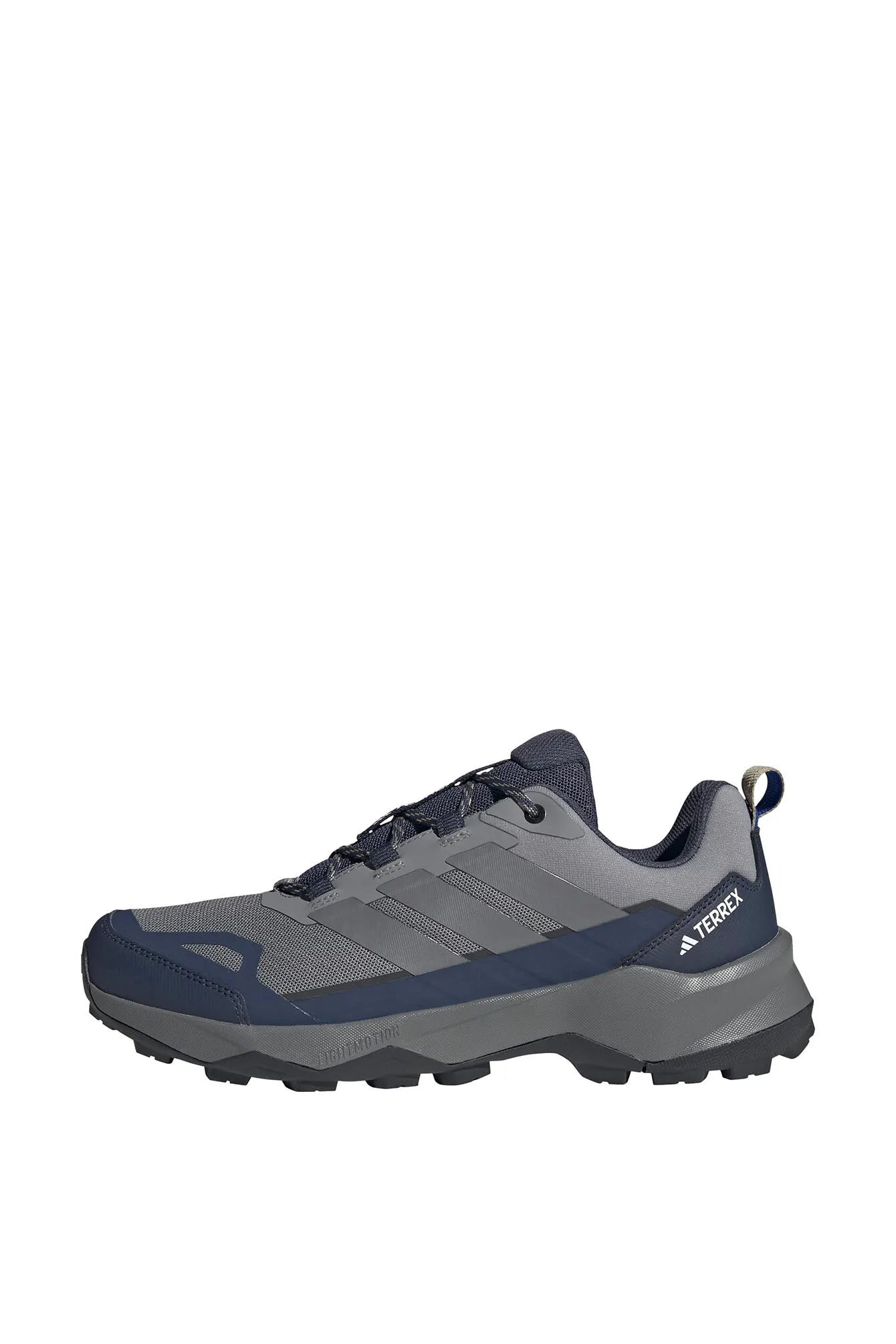 Wanderschuhe TERREX SKYCHASER AX5