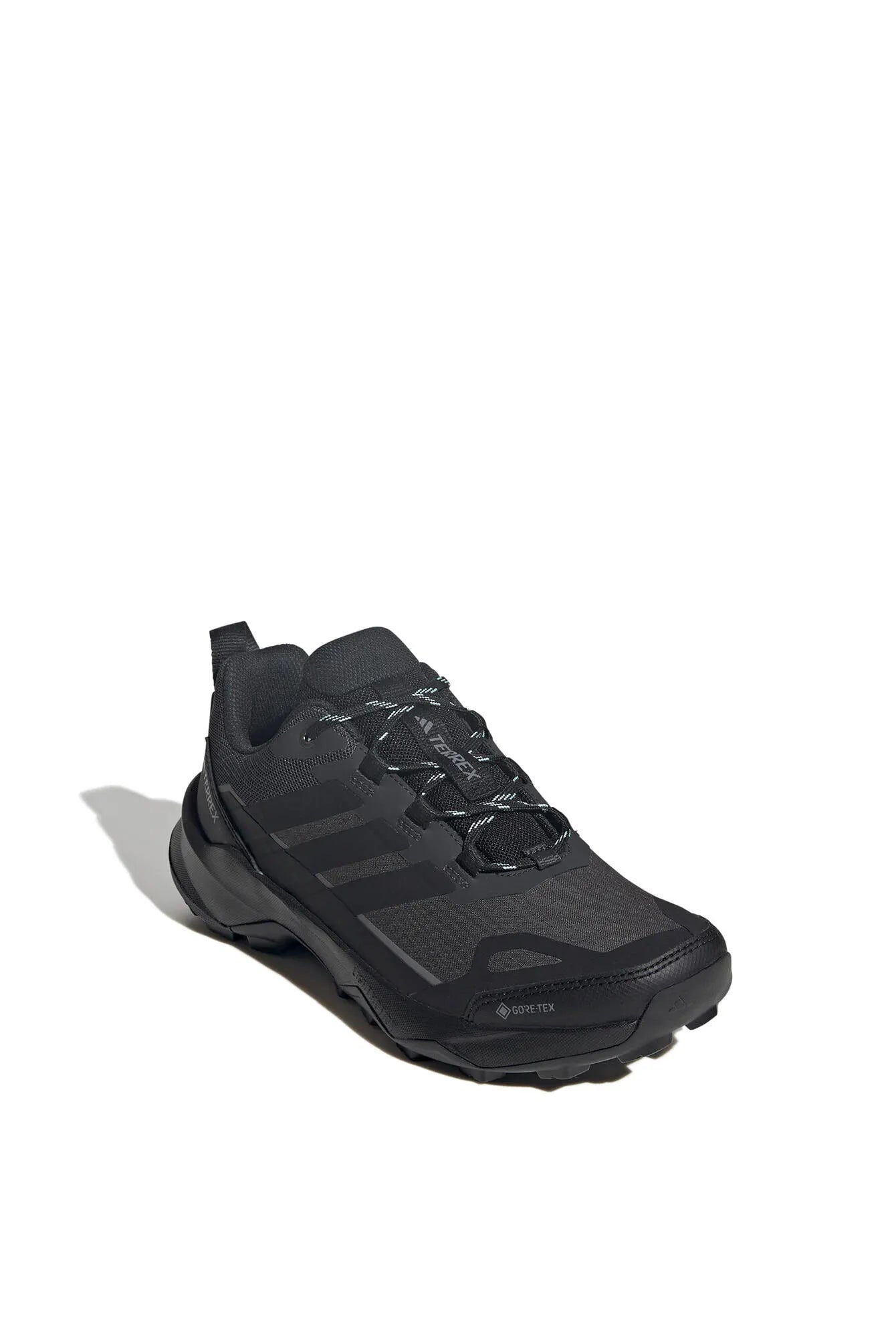 Wanderschuhe TERREX SKYCHASER AX5 GTX