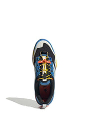 Wanderschuhe TERREX SKYCHASER GTX