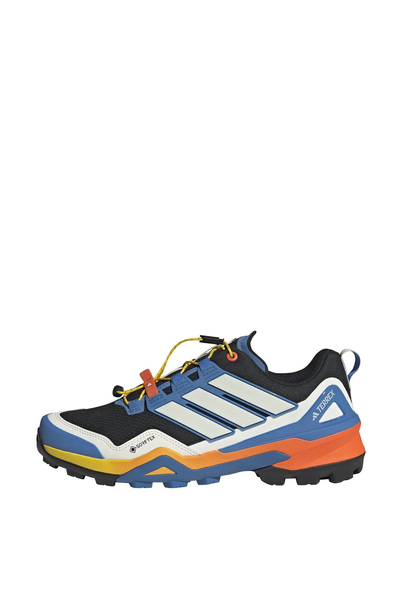 Wanderschuhe TERREX SKYCHASER GTX
