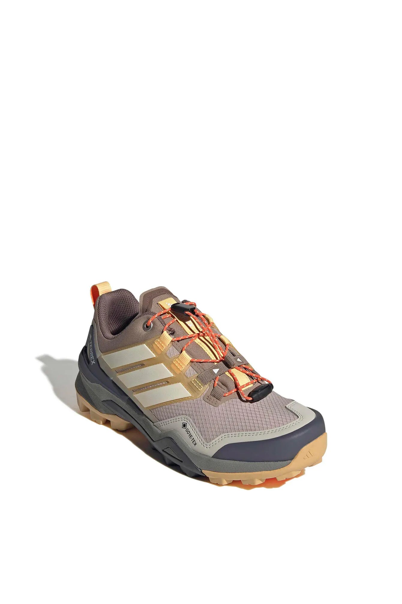 Wanderschuhe TERREX SKYCHASER GTX