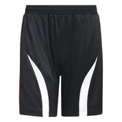 Funktionsshorts TEAMGEIST Regular Fit