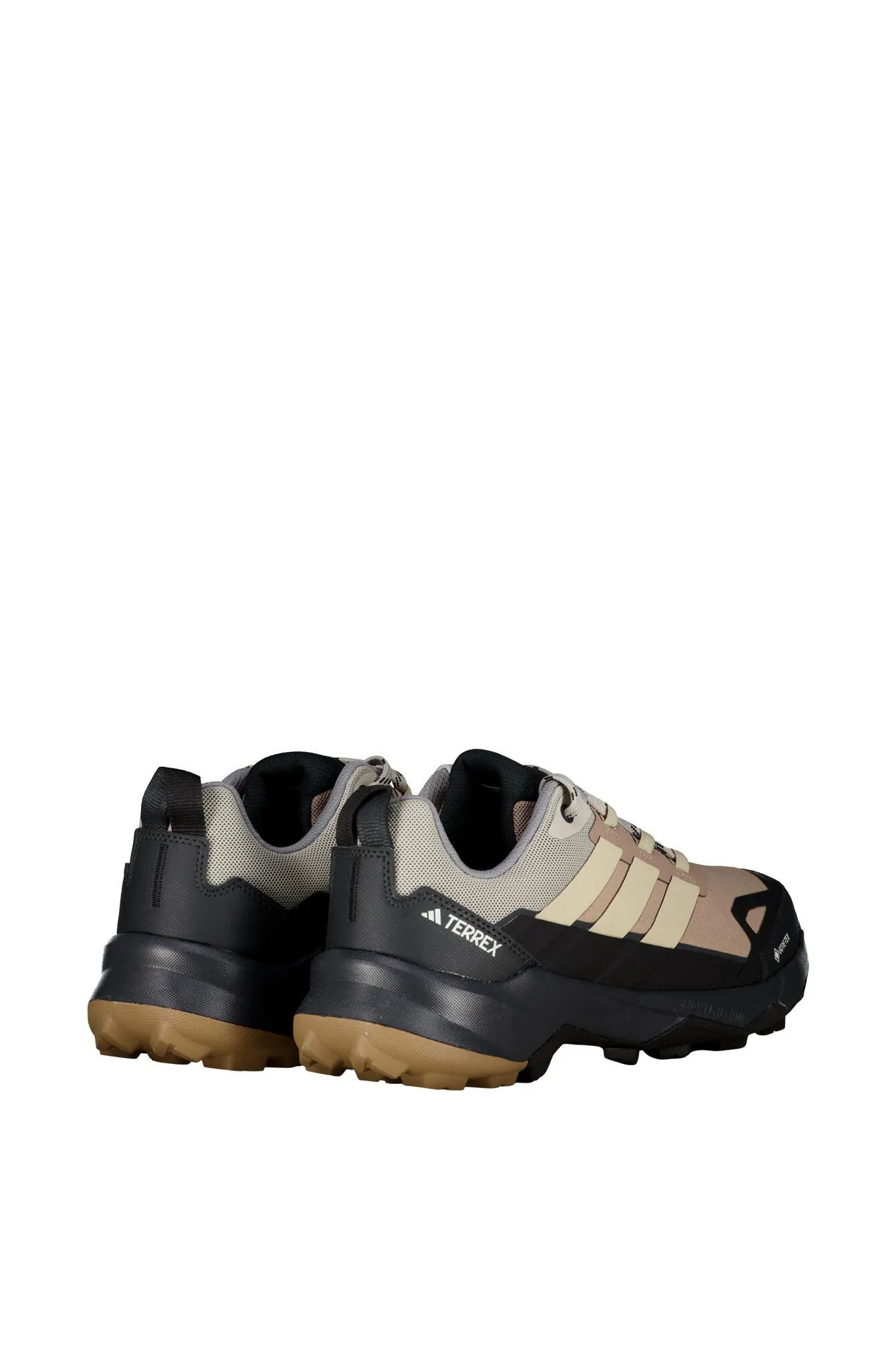 Wanderschuhe TERREX SKYCHASER AX5 GTX
