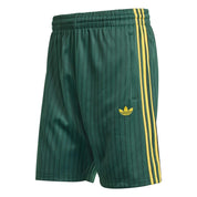 Funktionsshorts FIREBIRD Regular Fit