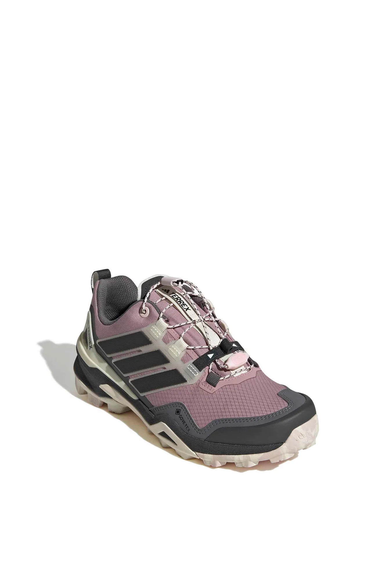 Wanderschuhe TERREX SKYCHASER GTX W