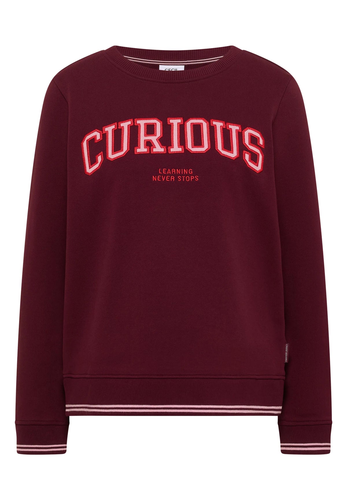Sweatshirt mit Stickerei