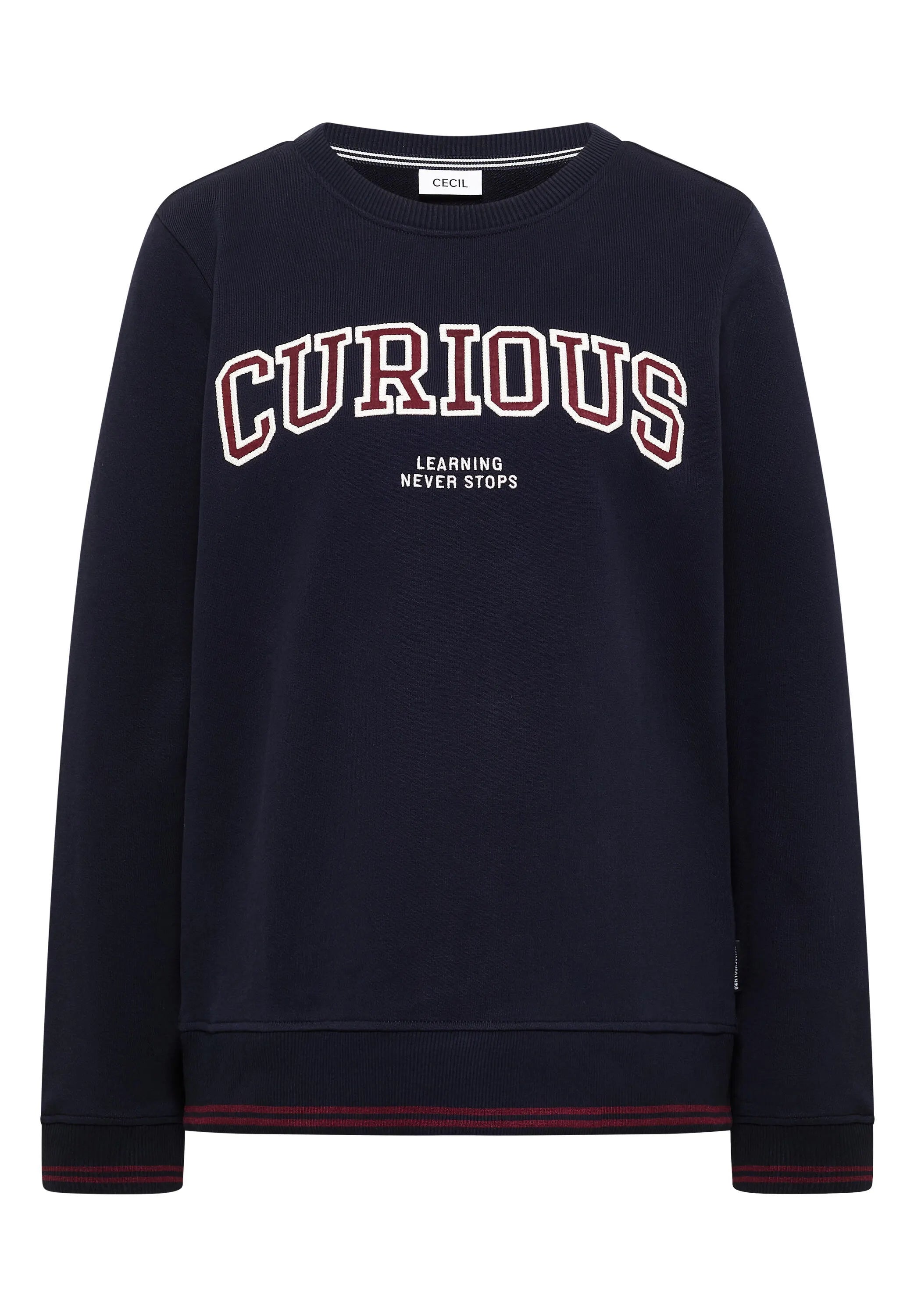 Sweatshirt mit Stickerei