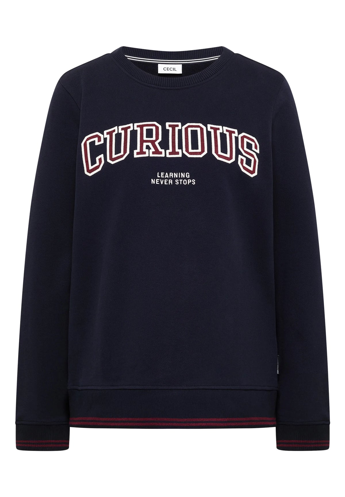 Sweatshirt mit Stickerei