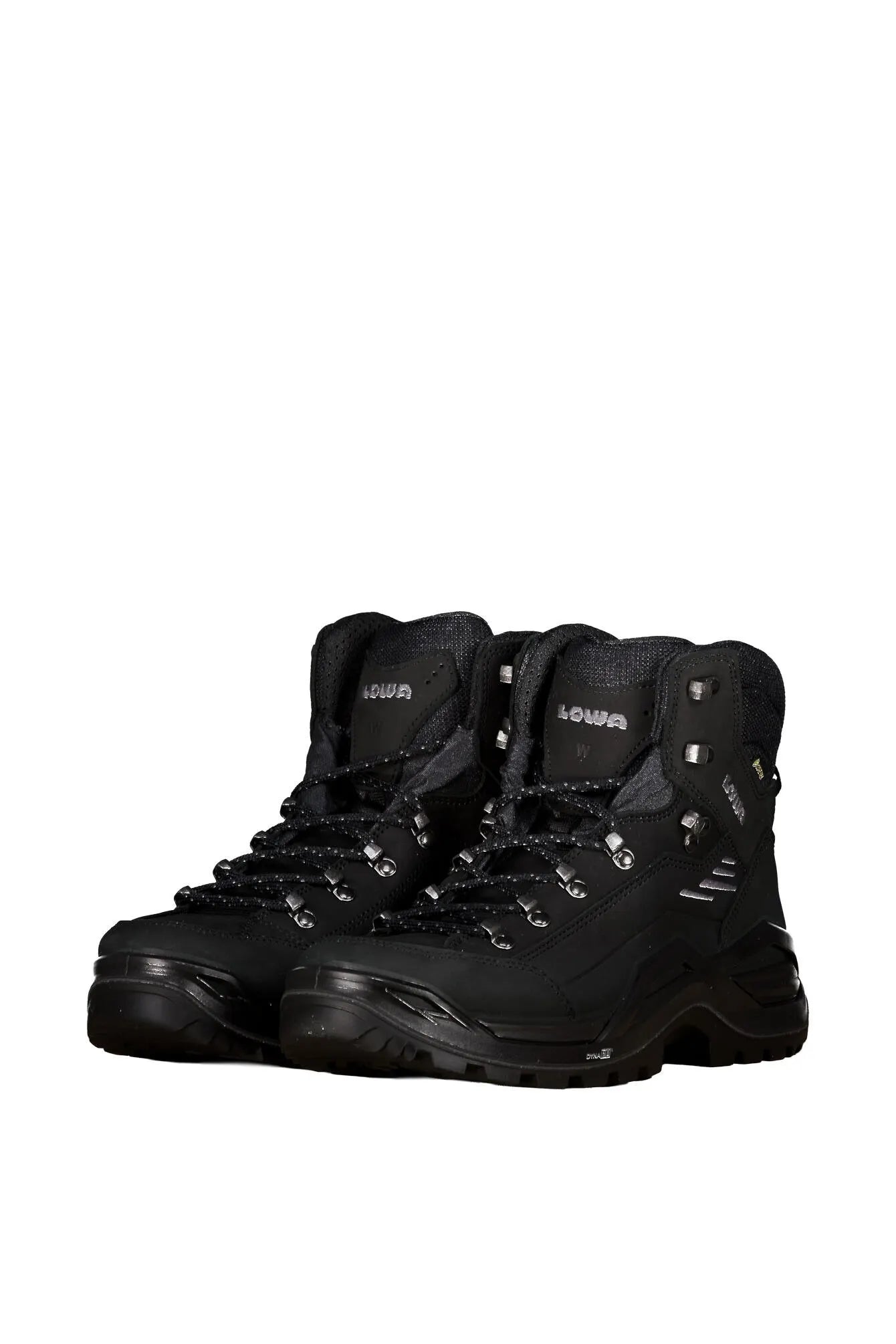 Wanderschuhe RENEGADE EVO GTX MID