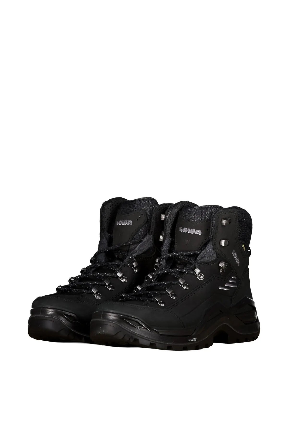Wanderschuhe RENEGADE EVO GTX MID