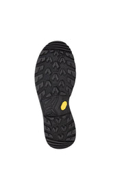 Wanderschuhe Renegade Evo GTX Mid