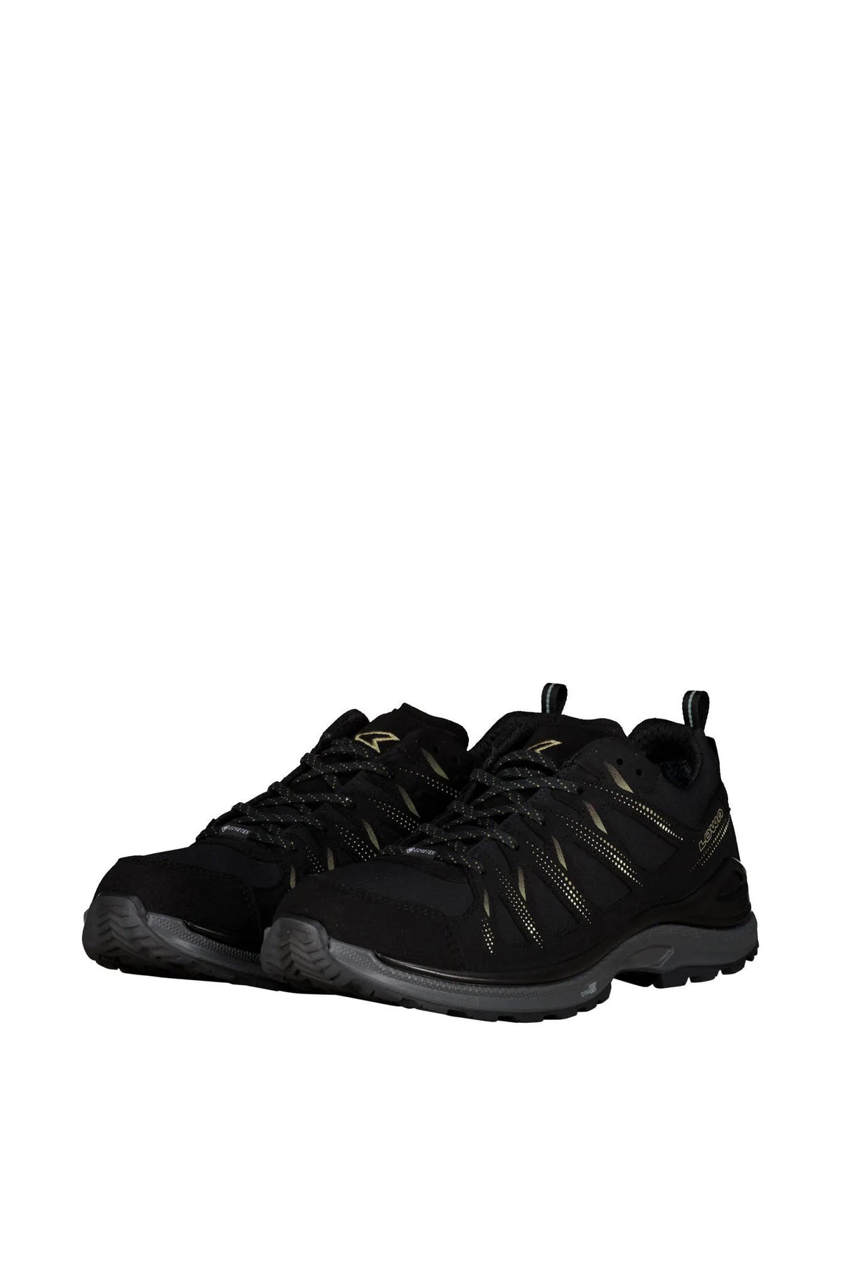 Wanderschuhe INNOX EVO II GTX