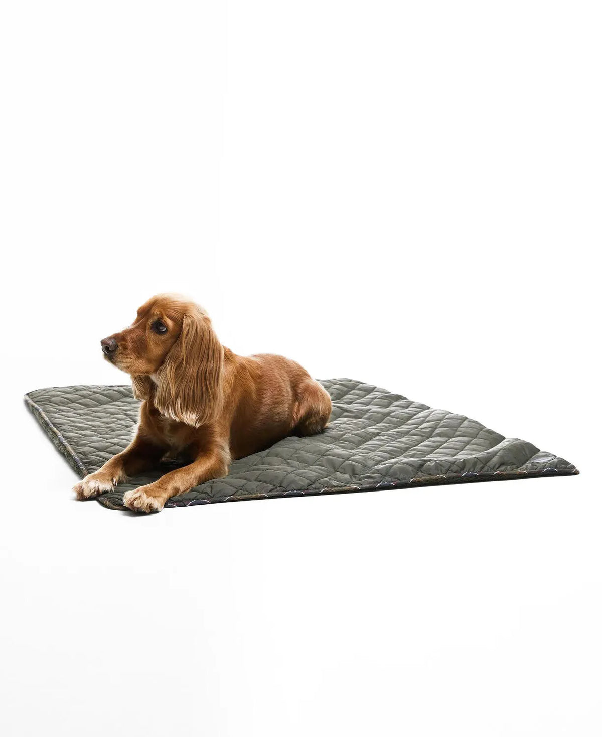 Hundedecke QUILTED FLEECE