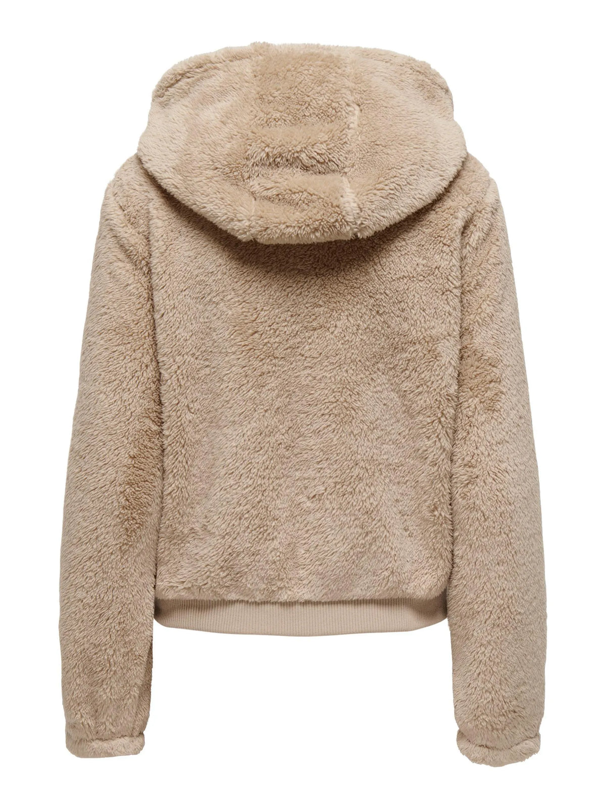 Teddy Jacke