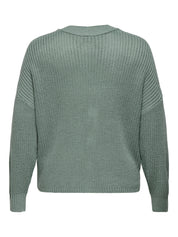 CARCAROL NICE L/S CARDIGAN KNT NOOS