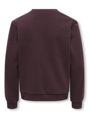Sweatshirt KOGMONJA