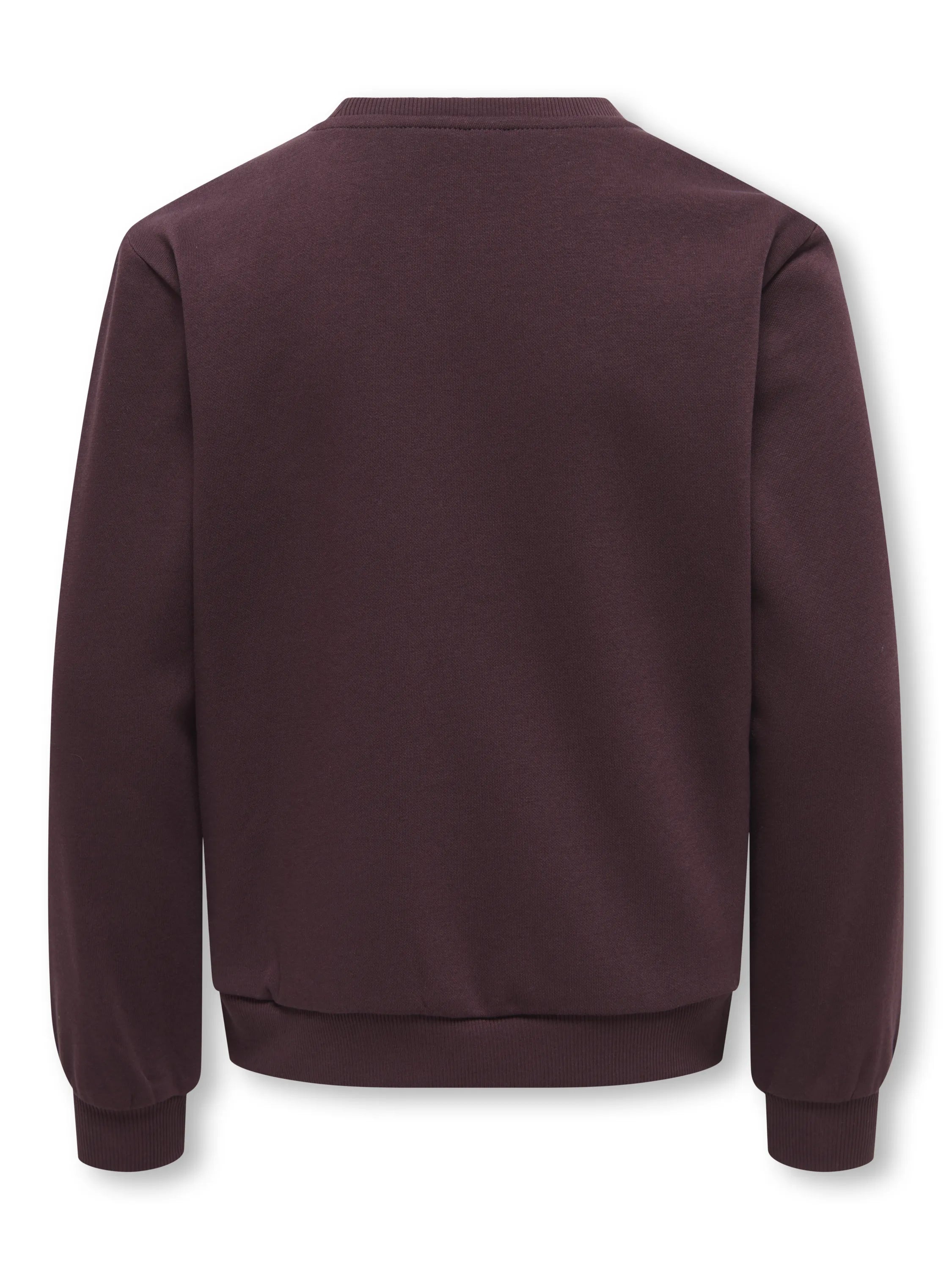 Sweatshirt KOGMONJA