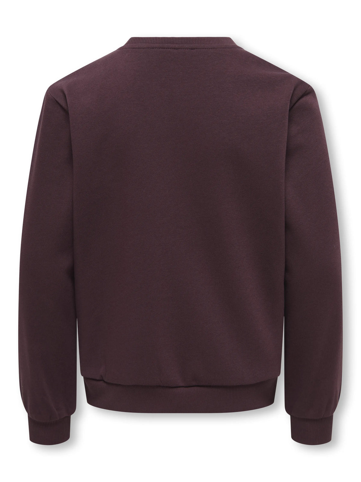 Sweatshirt KOGMONJA