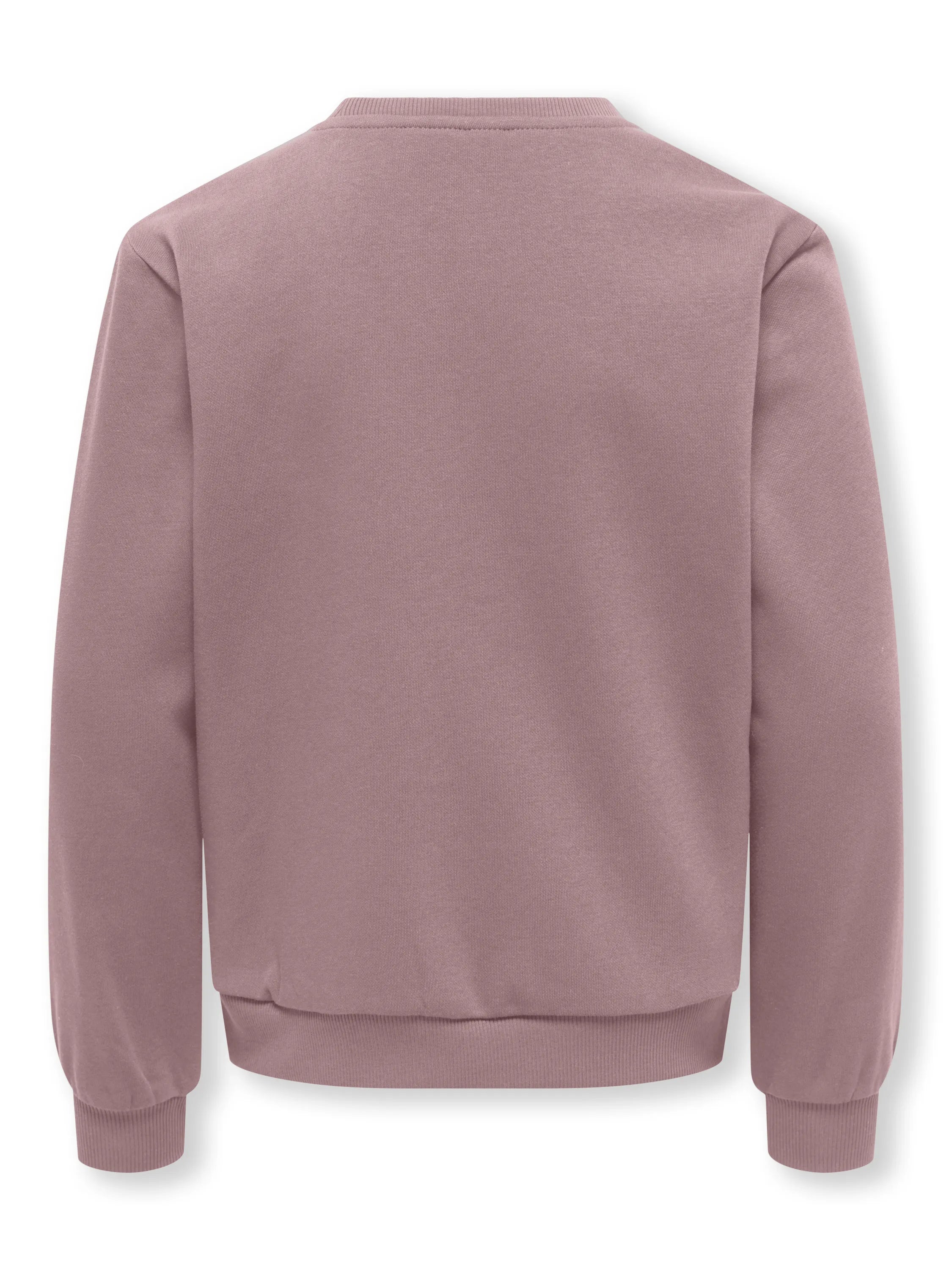 Sweatshirt KOGMONJA