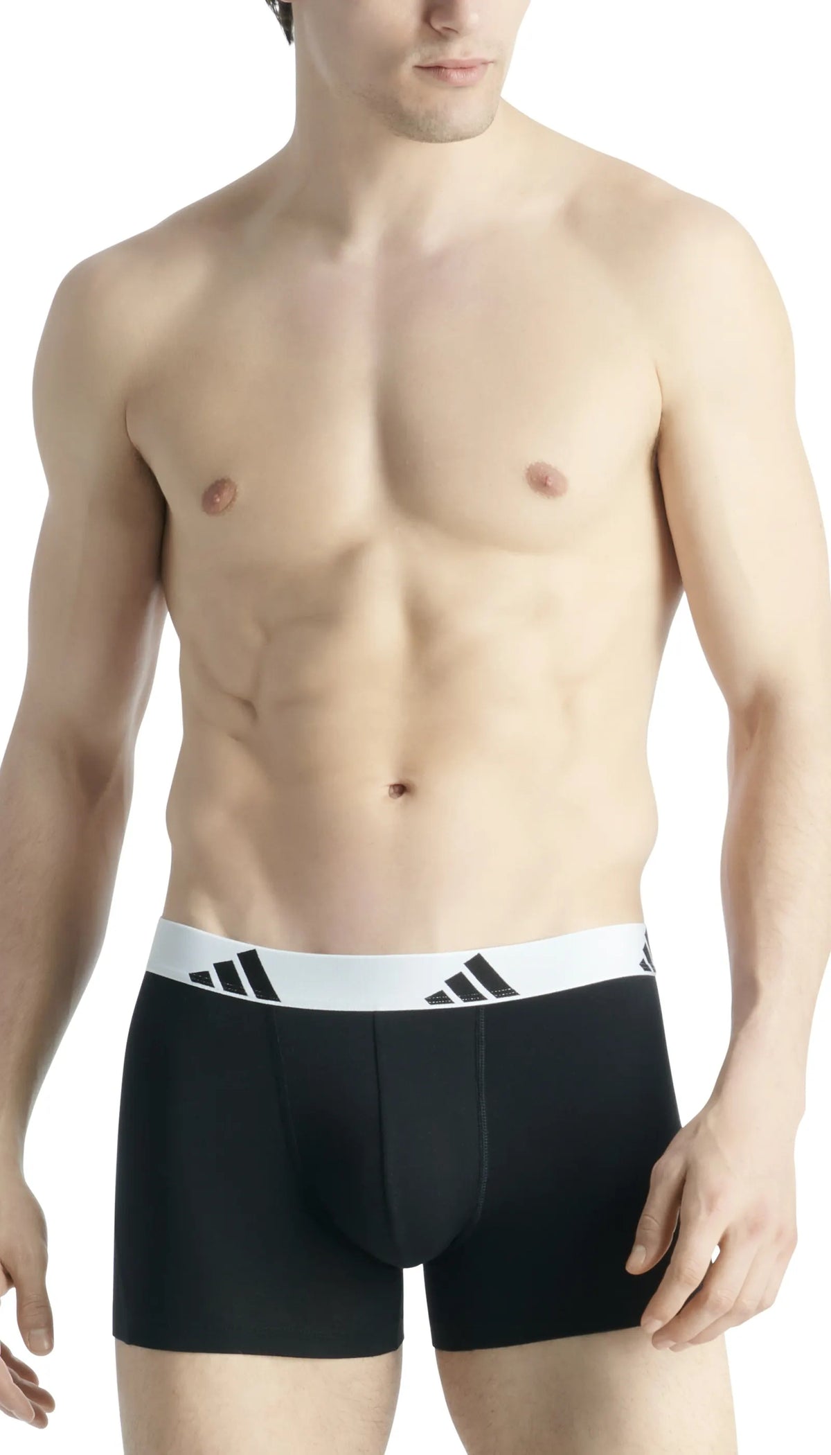 Trunks 3er-Pack aus Baumwolle