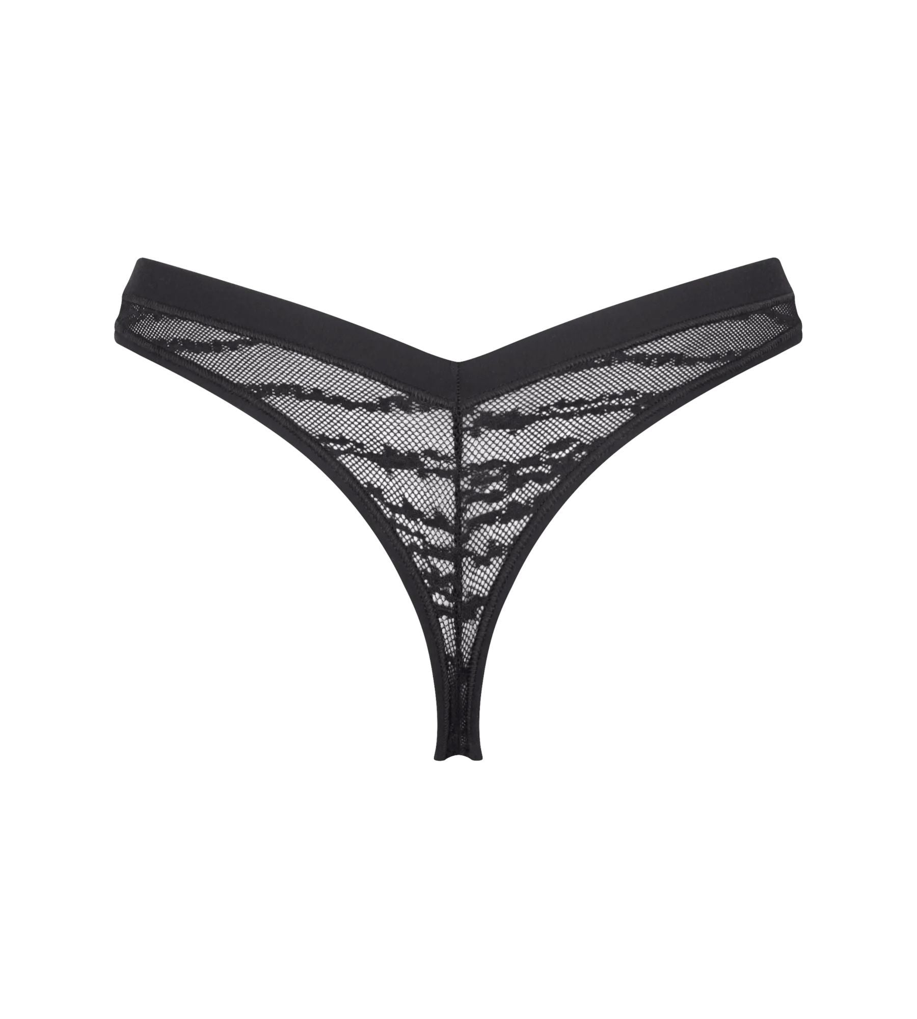 String FREE EVOLVE