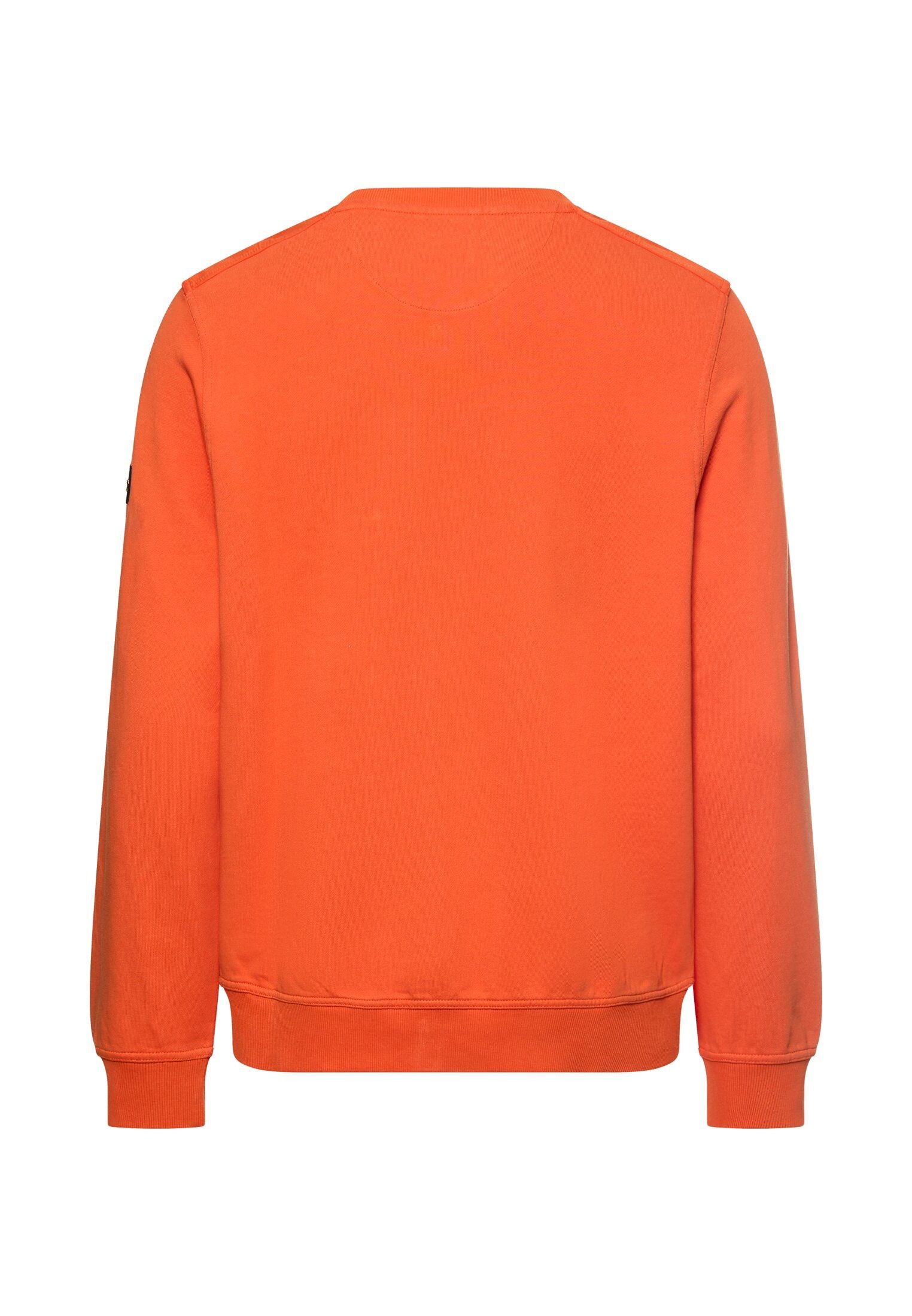 Sweatshirt Regular Fit
