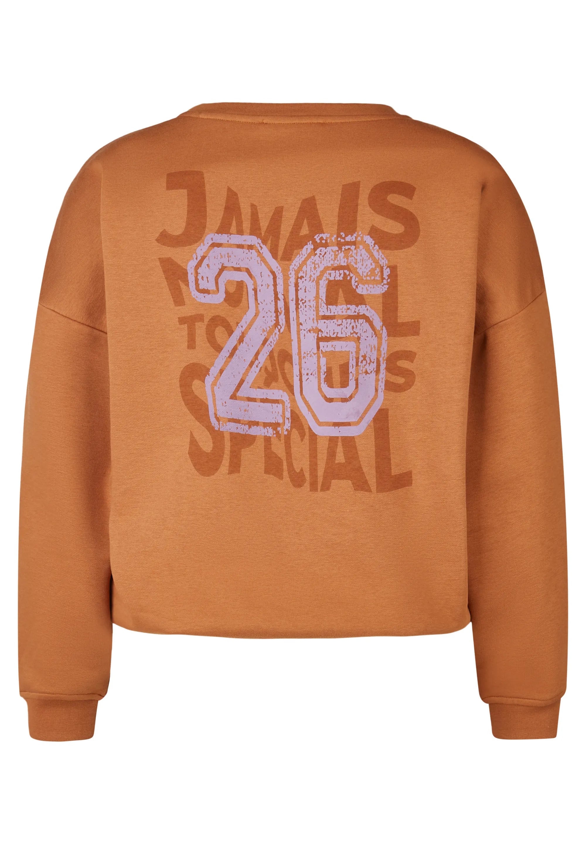 Sweatshirt MARAIS VIBE