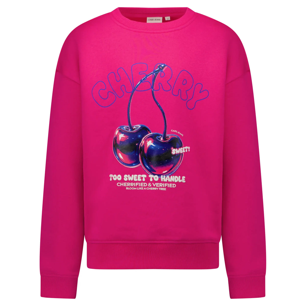 Sweatshirt ZAAR