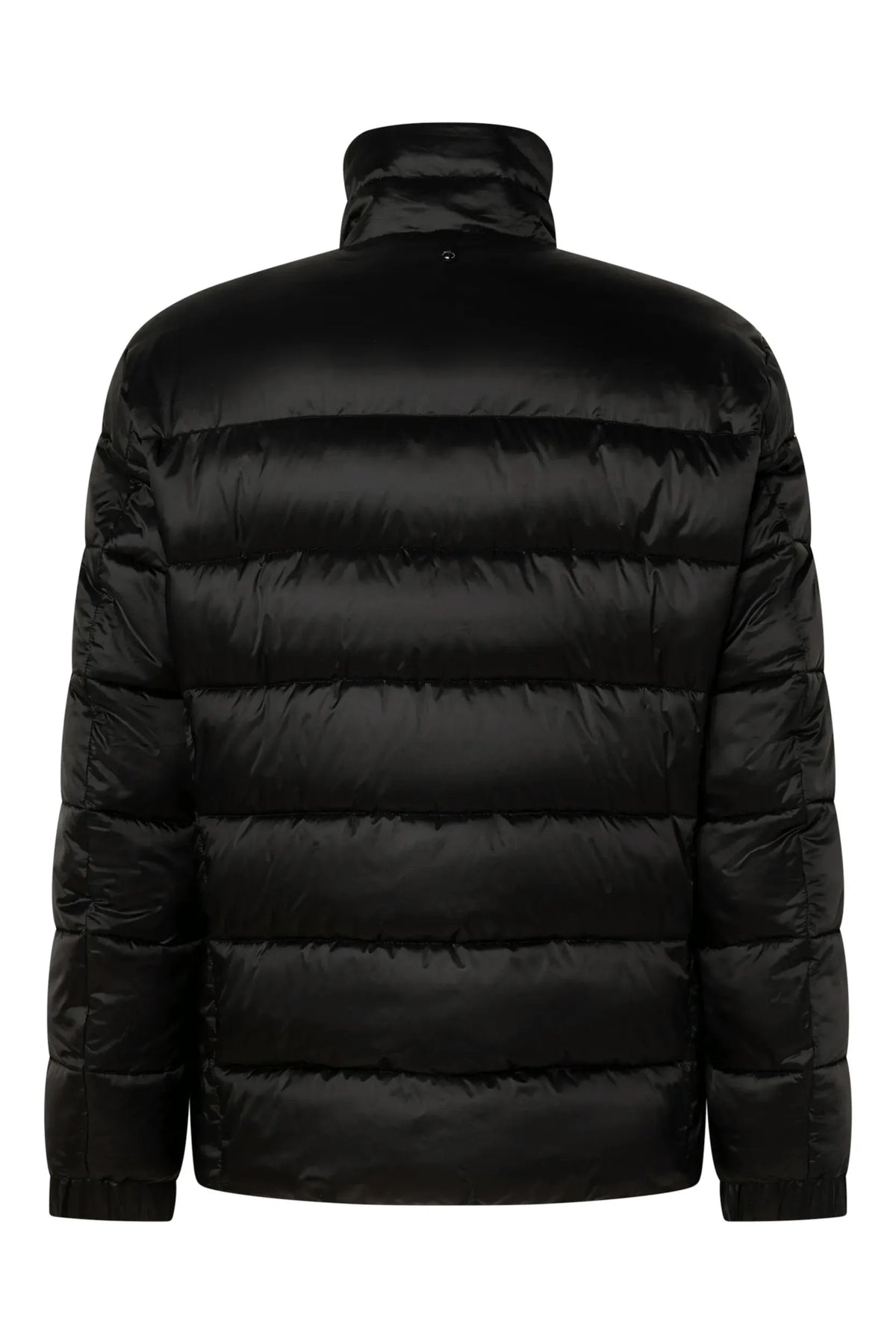 Steppjacke CRAIGTON