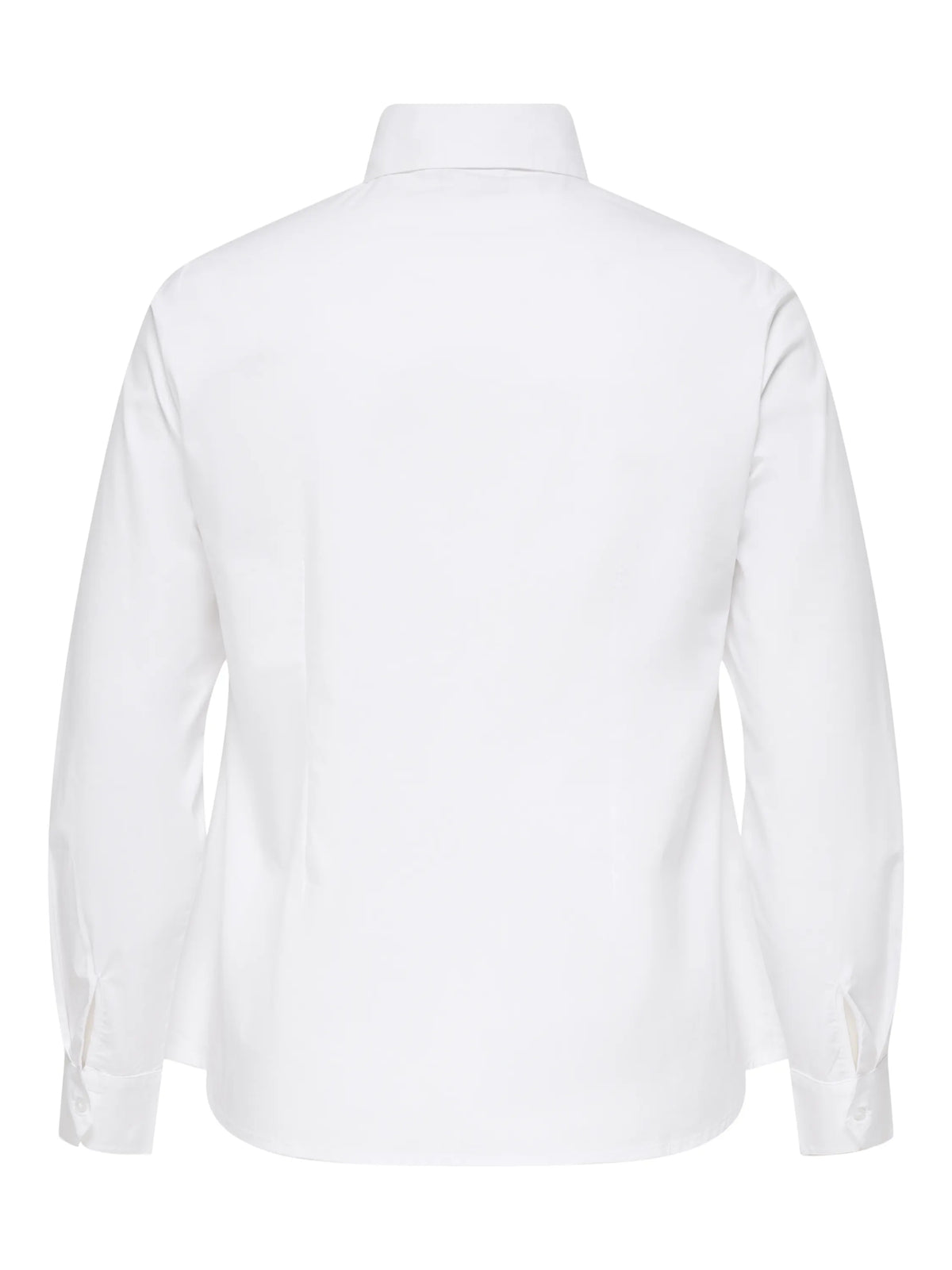 Bluse CARDEA Regular Fit