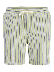 Shorts Relaxed Fit