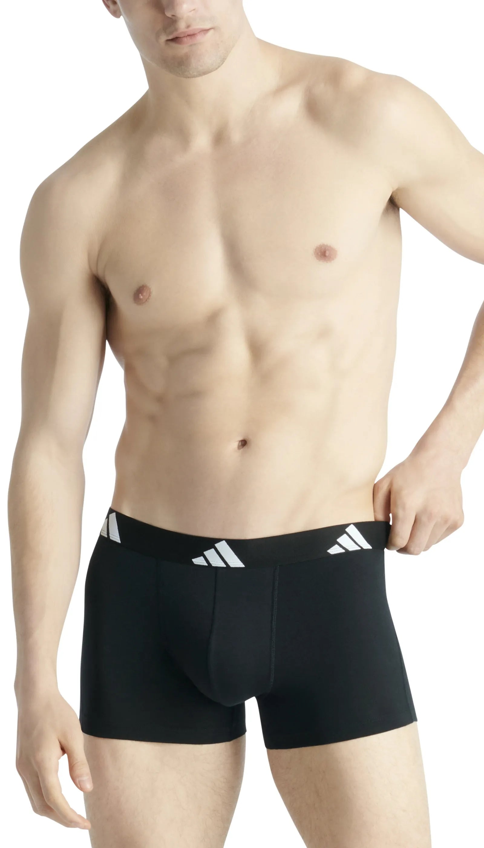 Trunks 3er-Pack aus Baumwolle