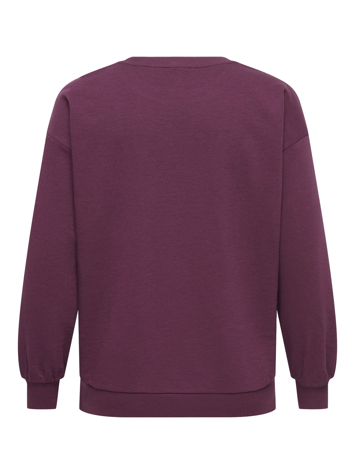 Sweatshirt CARVIOLETTA