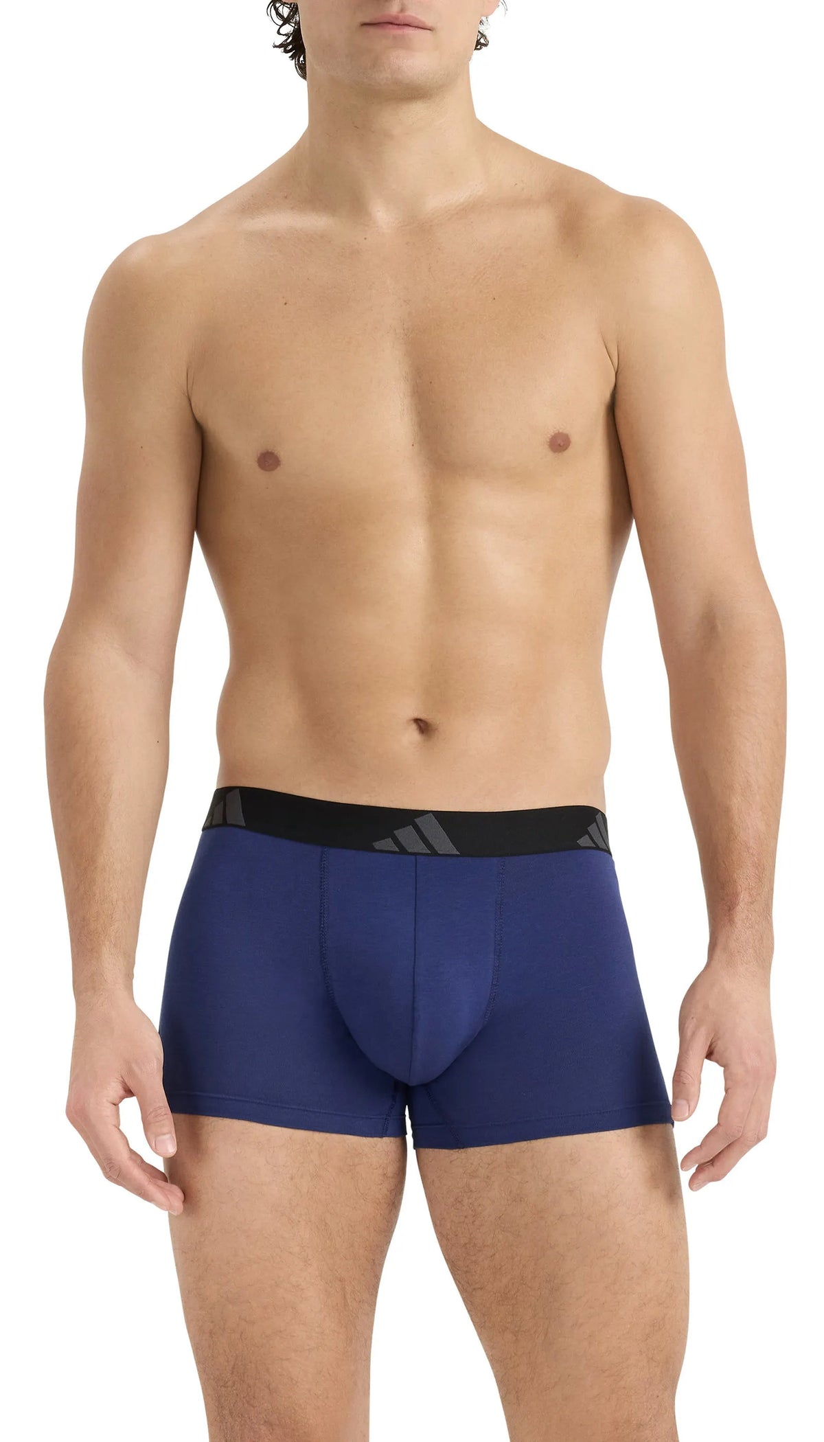 Trunks 3er-Pack aus Baumwolle