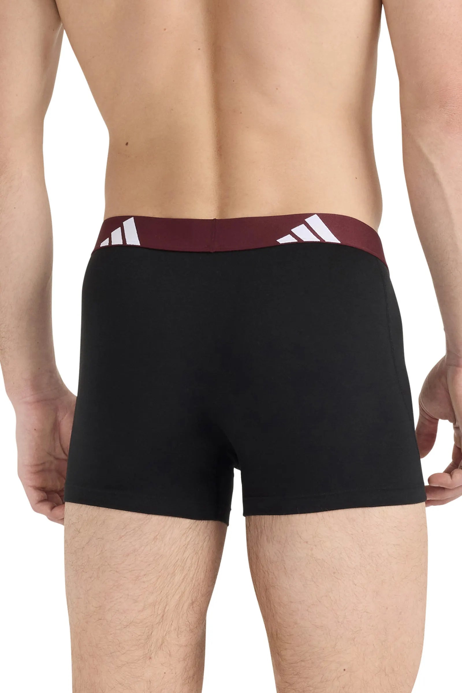 Trunks 3er-Pack aus Baumwolle