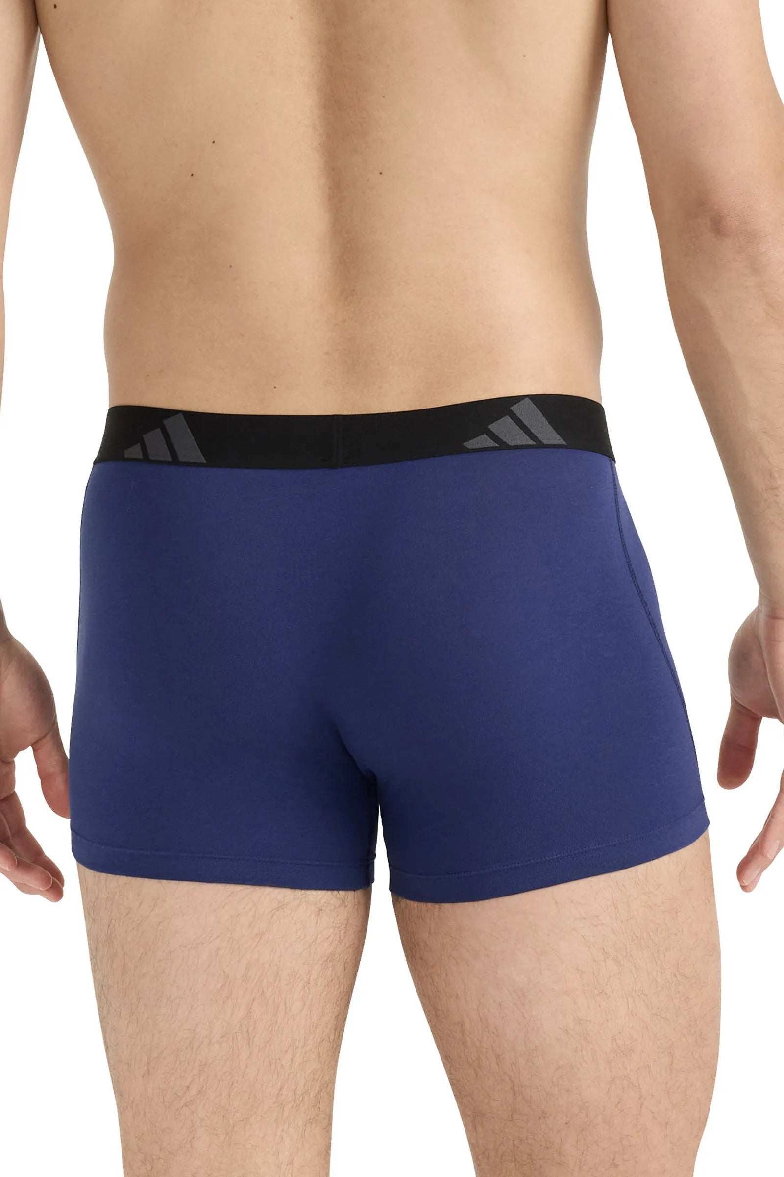 Trunks 3er-Pack aus Baumwolle