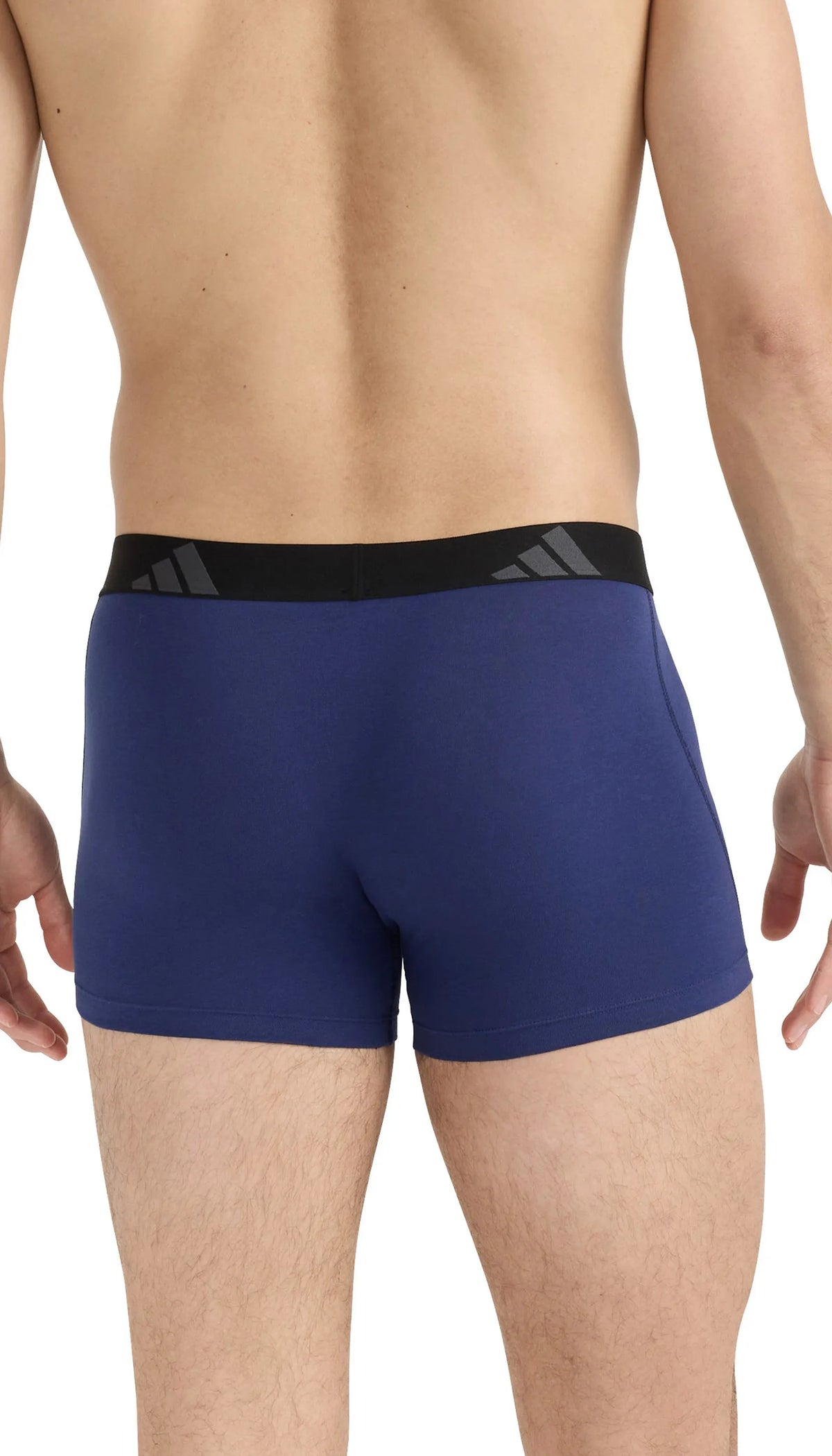 Trunks 3er-Pack aus Baumwolle