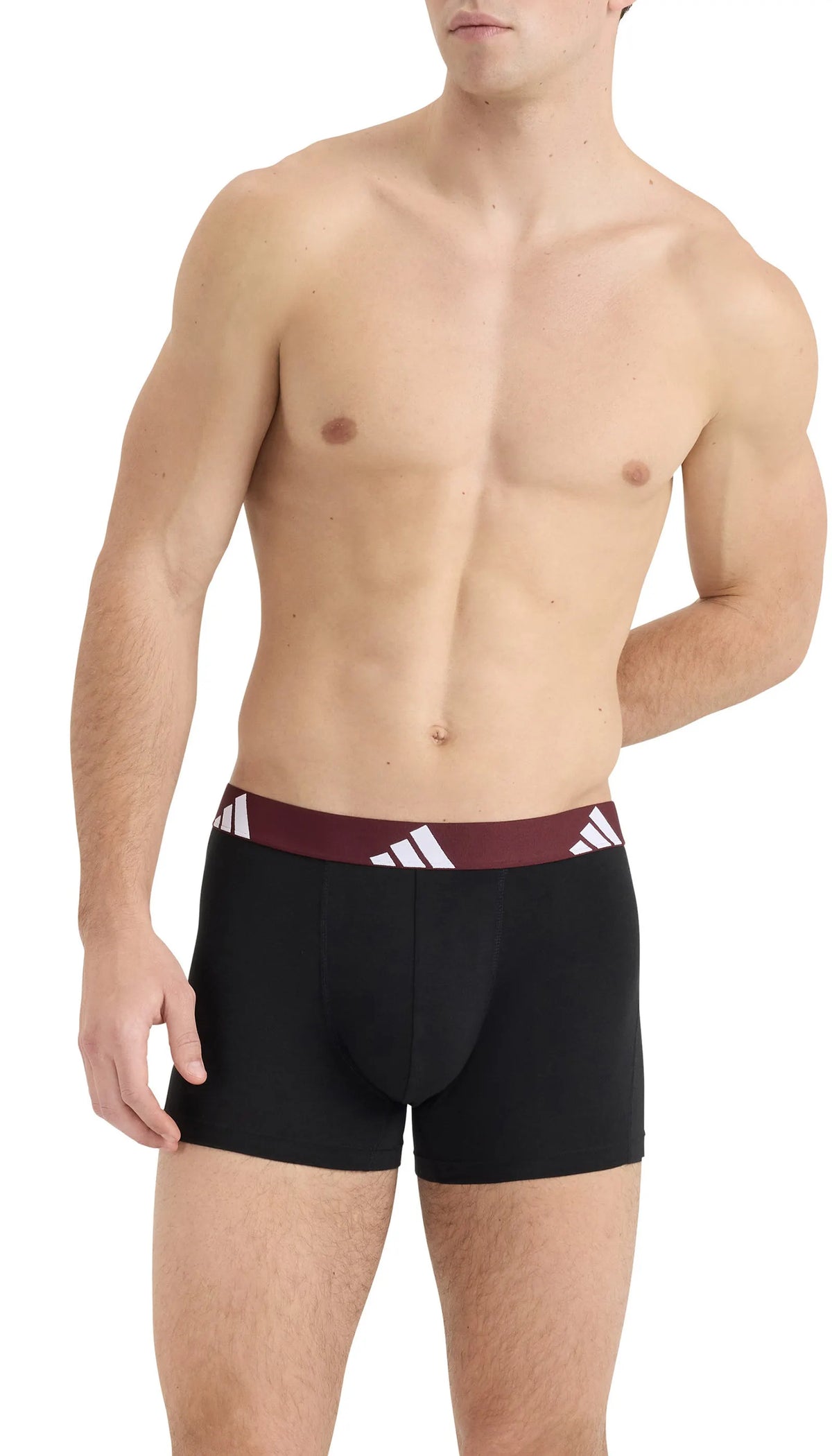 Trunks 3er-Pack aus Baumwolle
