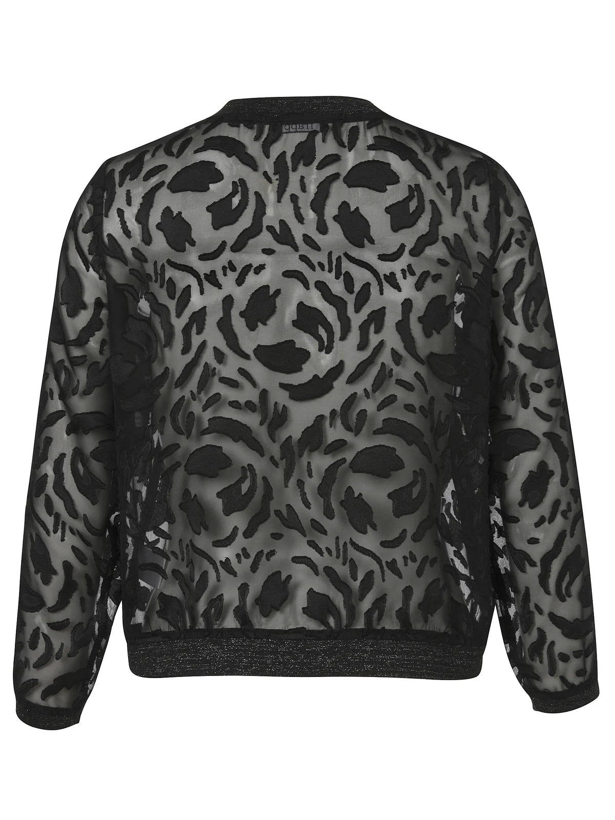 Blouson transparent