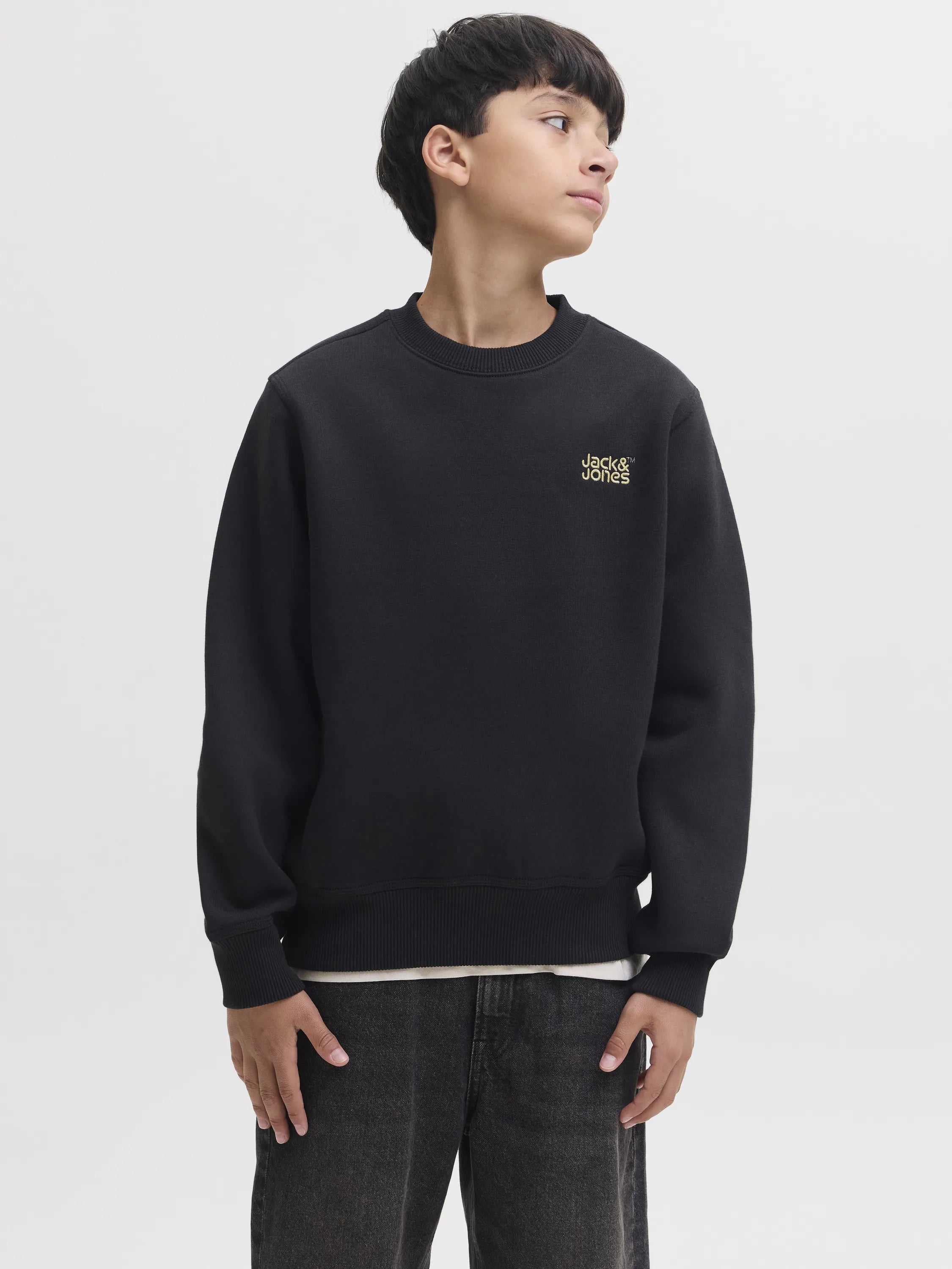 Sweatshirt aus Baumwollmix
