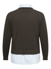 Strickpullover CARPAYSON
