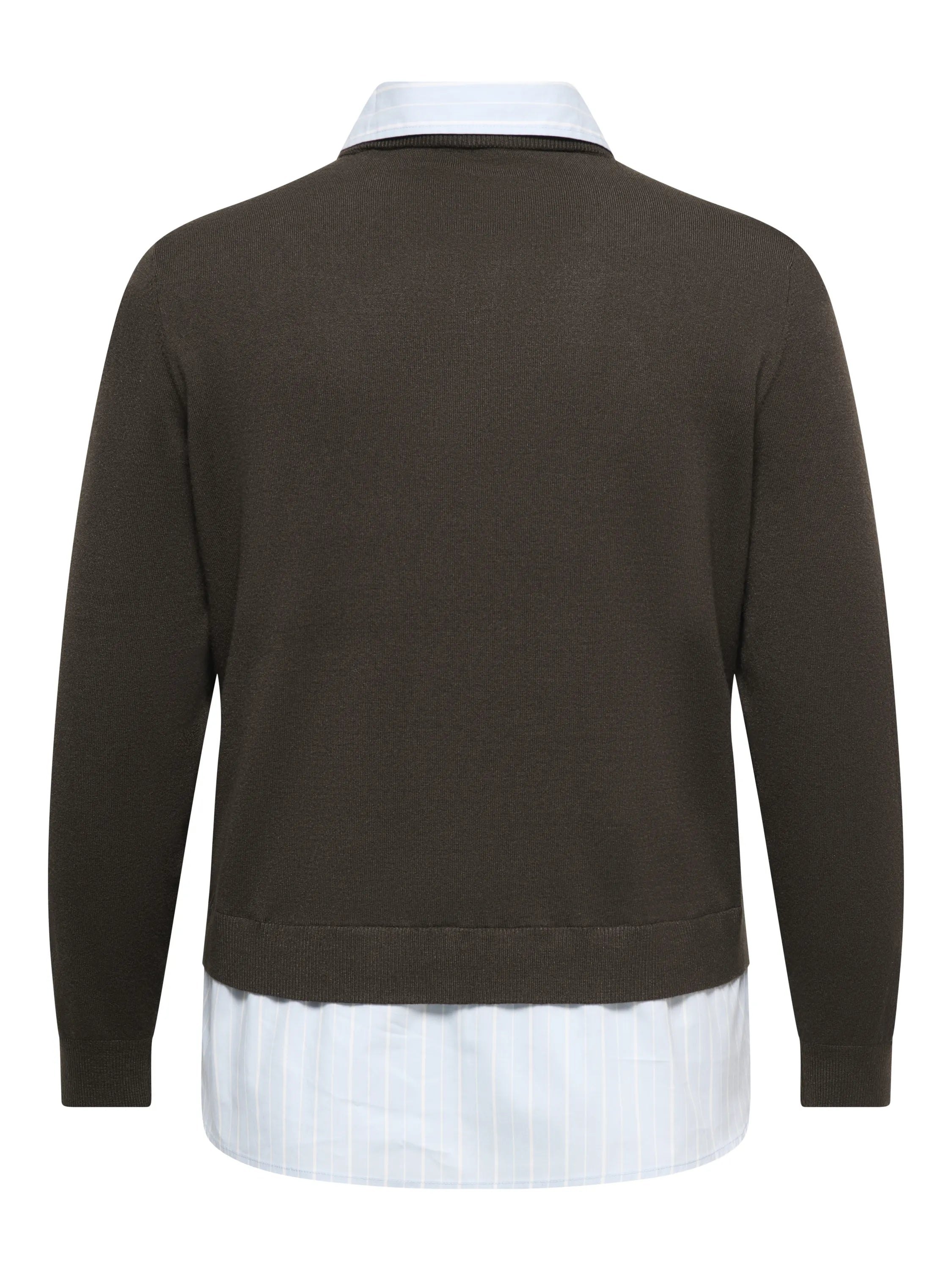 Strickpullover CARPAYSON