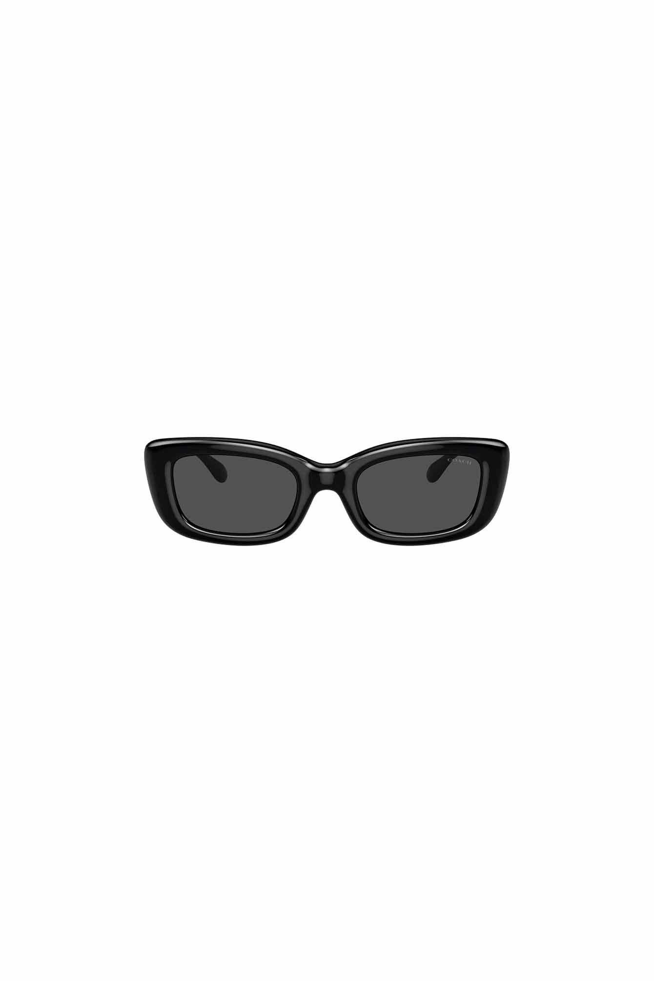 Sonnenbrille 0HC8390U 500287